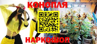 крисы Малгобек