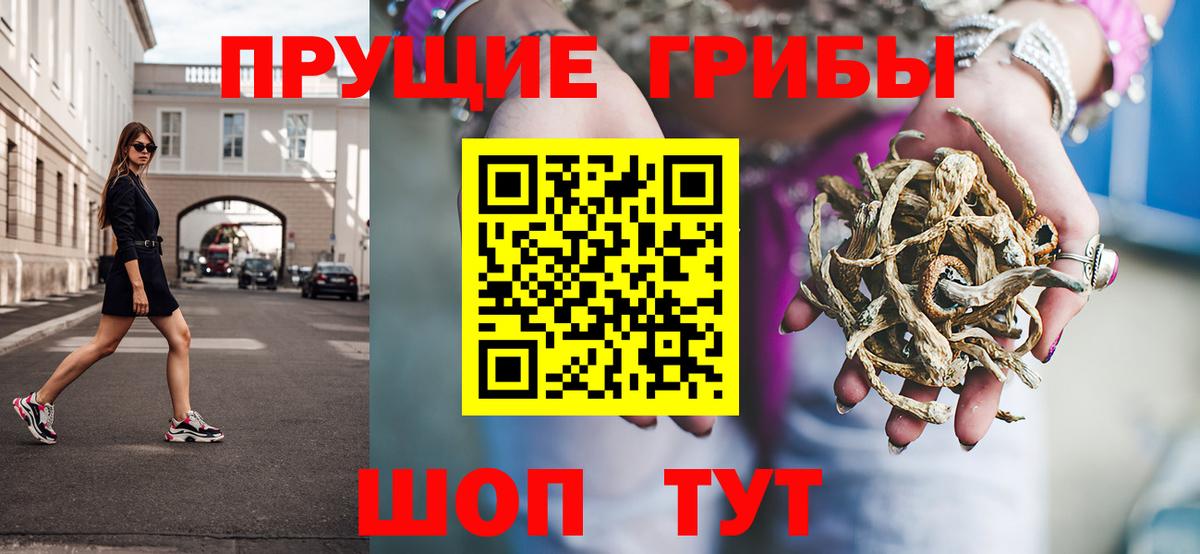 Псилоцибиновые грибы Psilocybine cubensis Знаменск