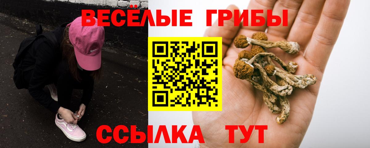 Галлюциногенные грибы ЛСД  Вход с VPN  Знаменск 