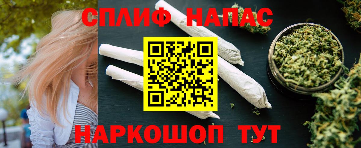 Каннабис OG Kush Знаменск